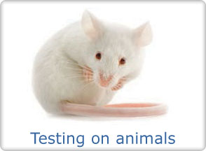 Animal Testing